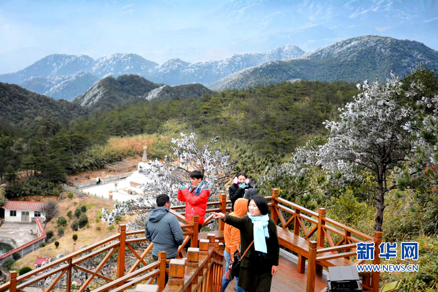 【组图】泉州九仙山上现"雨雾凇"美景 -今日福建--网
