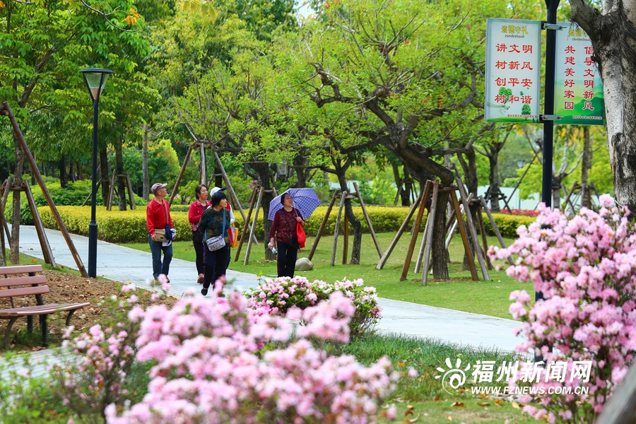 琴亭湖公园杜鹃花盛放　市民踏春赏花