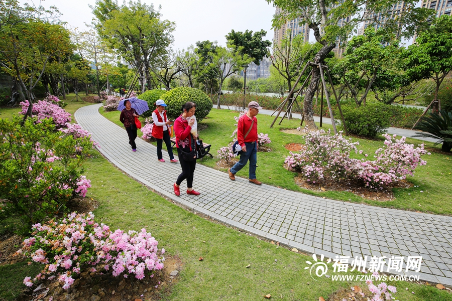 琴亭湖公园杜鹃花盛放　市民踏春赏花