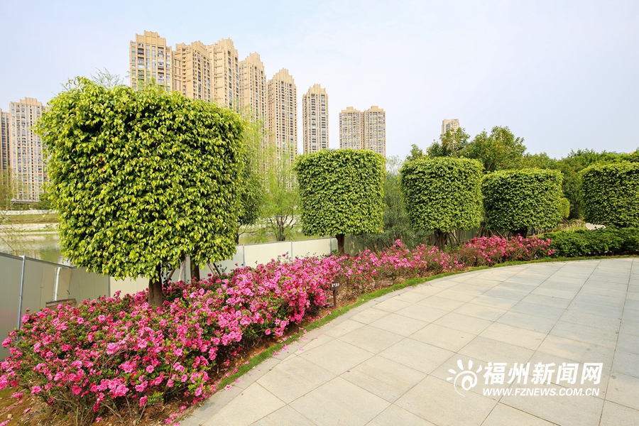 琴亭湖公园杜鹃花盛放　市民踏春赏花