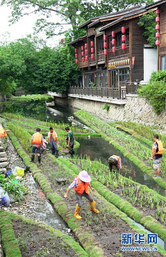 (生态)(2)福州:构建内河水系生态修复链提升河水自净能力 (生态)(2)福州:构建内河水系生态修复链提升河水自净能力