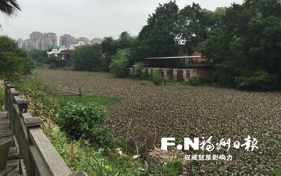 流花溪美丽“开屏”　两岸约9公里步道全线贯通