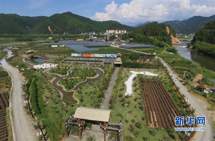 政和县"中华紫薇园"第一期园址(7月19日摄).